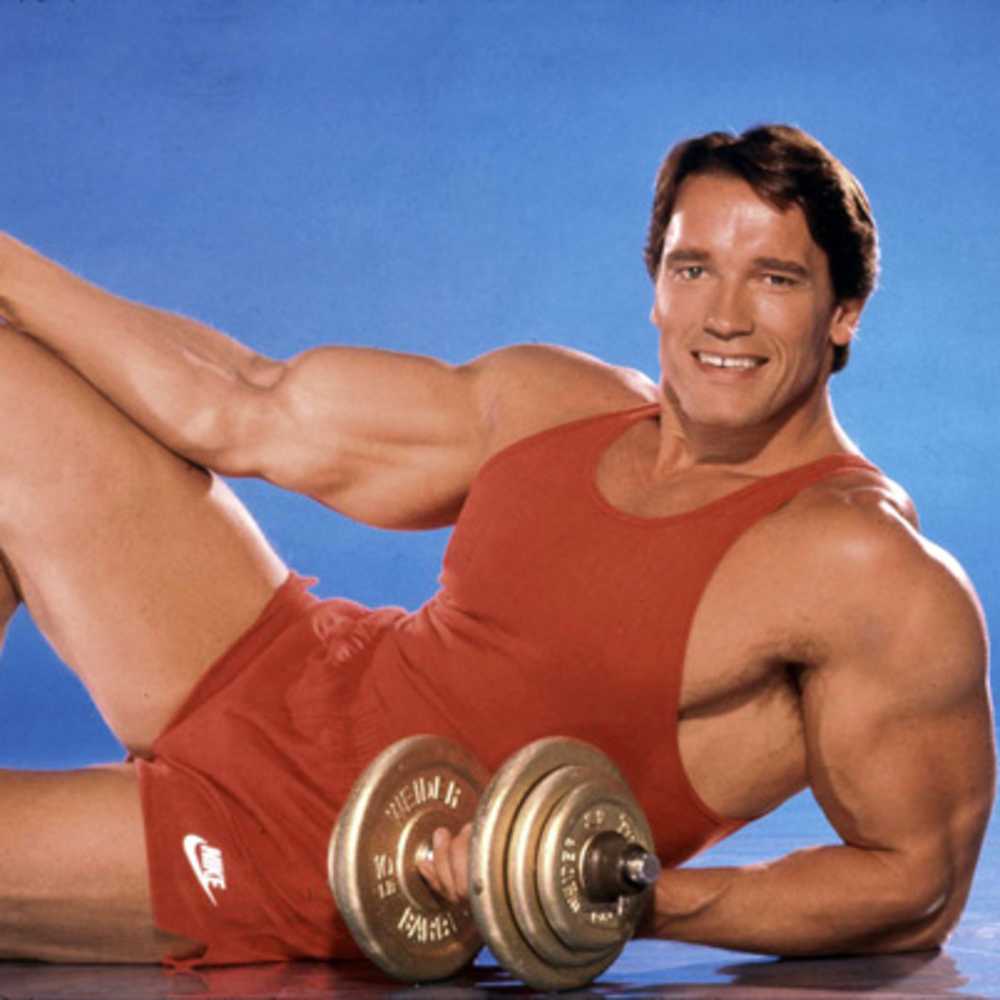 SwashVillage | Arnold Schwarzenegger Biografie