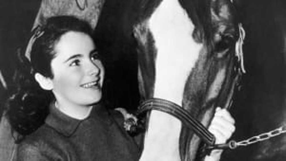 SwashVillage Elizabeth Taylor Biografie