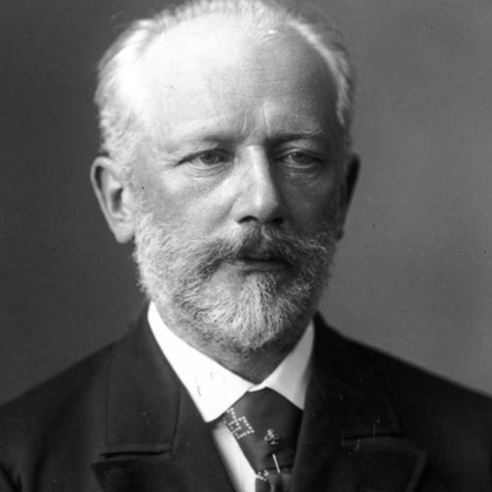 SwashVillage Pyotr Ilyich Tchaikovsky Biografie