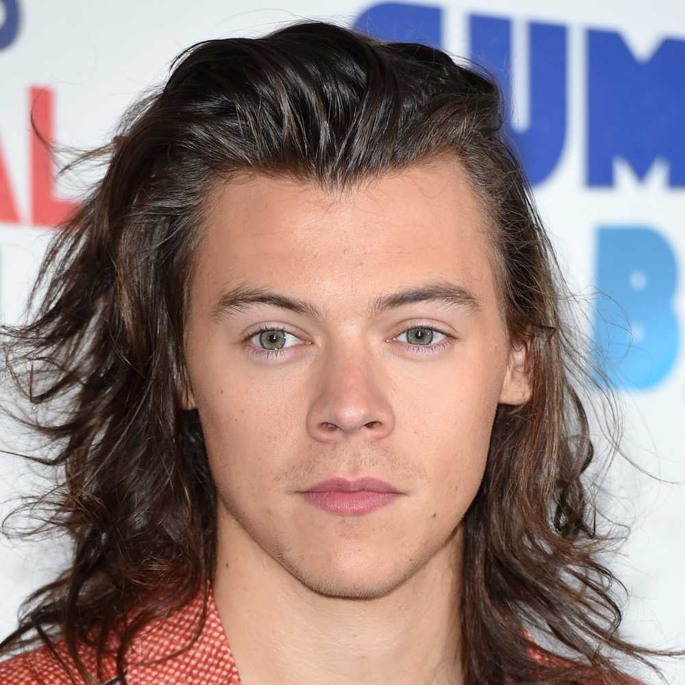 SwashVillage | Harry Styles Biografie