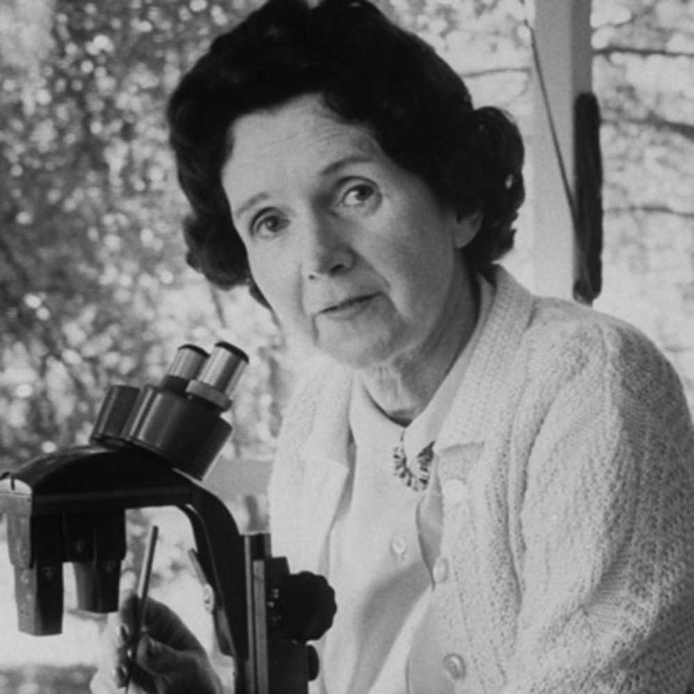 SwashVillage | Rachel Carson Biographie