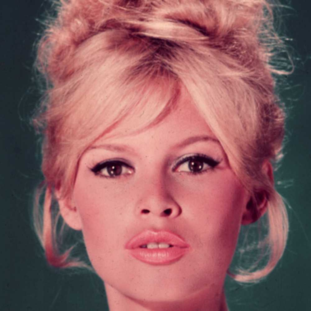 Swashvillage Brigitte Bardot Biografie 7228