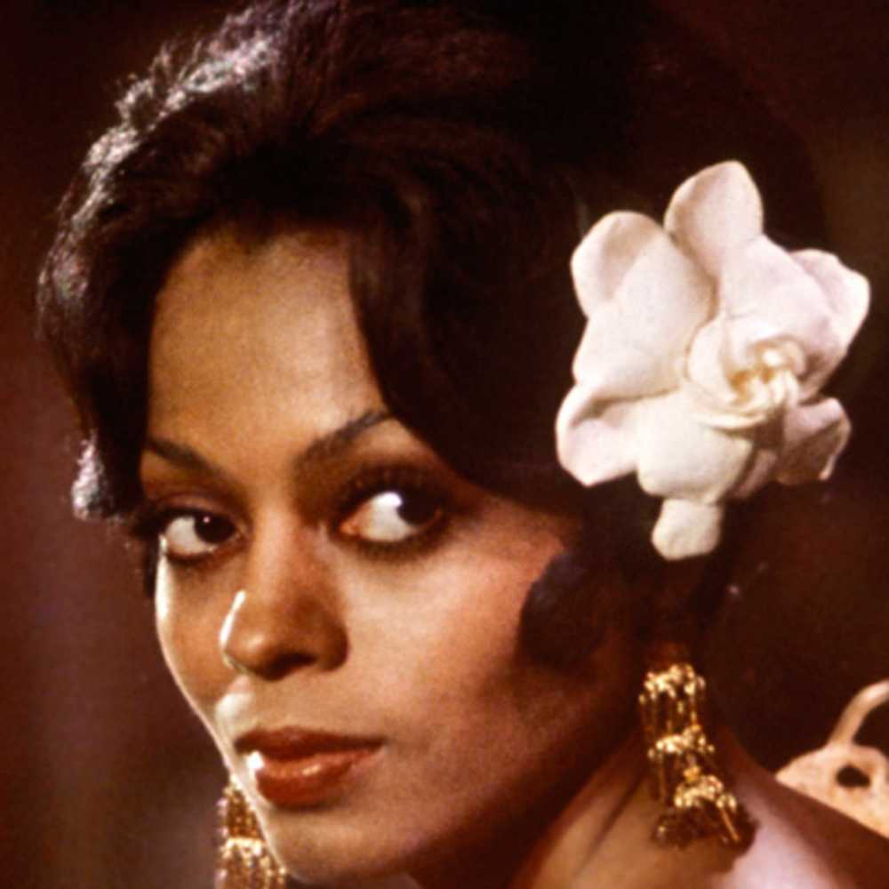 SwashVillage Diana Ross Biografie