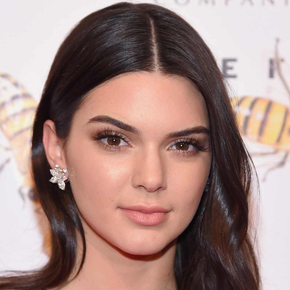 Swashvillage Kendall Jenner Biografie