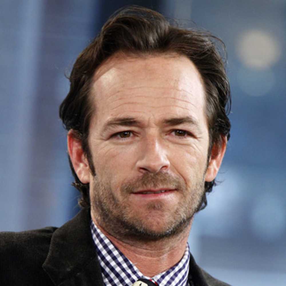 Swashvillage Luke Perry Biografie